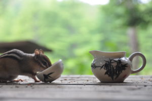 20120908 123227 DSC_0385 Chipmunk